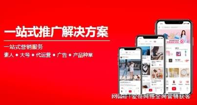网站优化公司排行(图2)